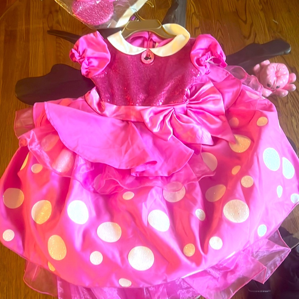 Minnie mouse costume